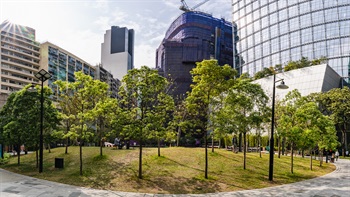 The open lawn is asymmetrically sloping towards the shifted centre surrounded by sparse trees to leave room for leisure activities and let adequate sunlight penetrate through the tree canopies.